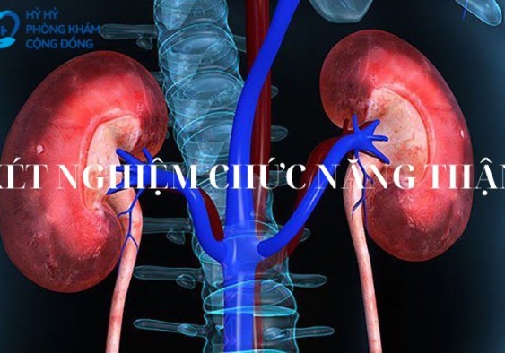 Xét nghiệm chức năng thận
