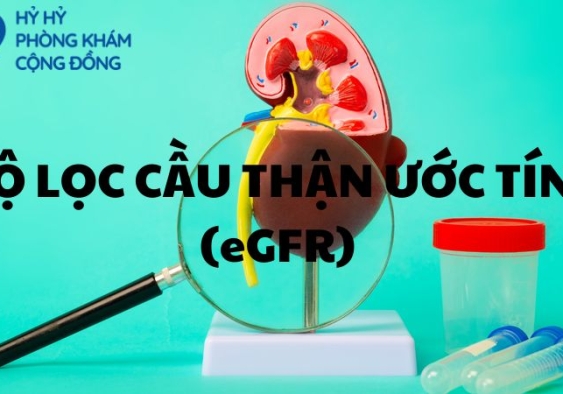 Độ lọc cầu thận ước tính (eGFR)