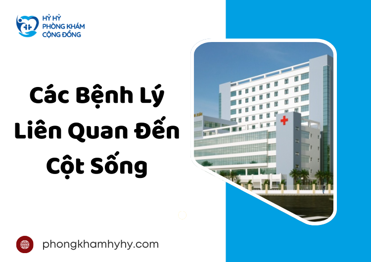 Các Bệnh Lý Liên Quan Đến Cột Sống
