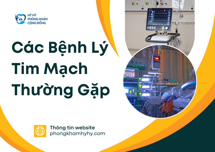 Các Bệnh Lý Tim Mạch Thường Gặp