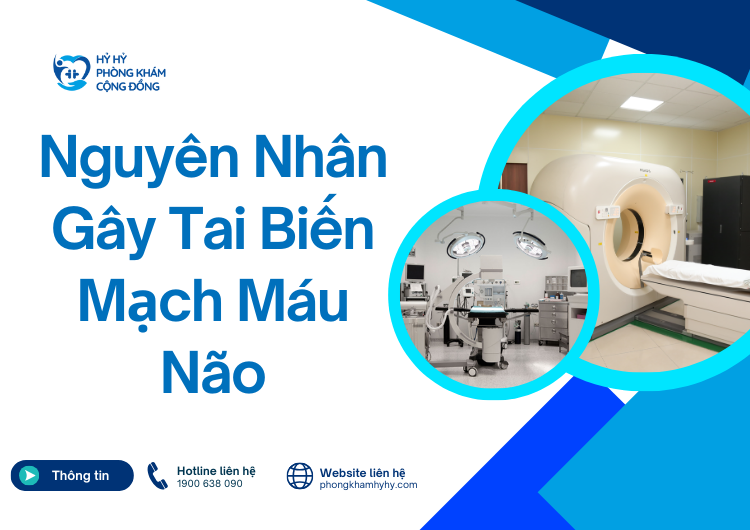 Nguyên Nhân Gây Tai Biến Mạch Máu Não