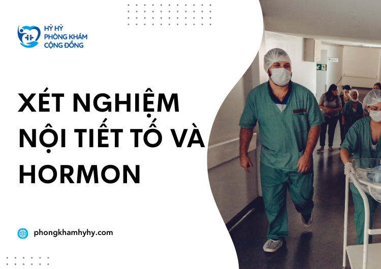 Xét Nghiệm Nội Tiết Tố và Hormon