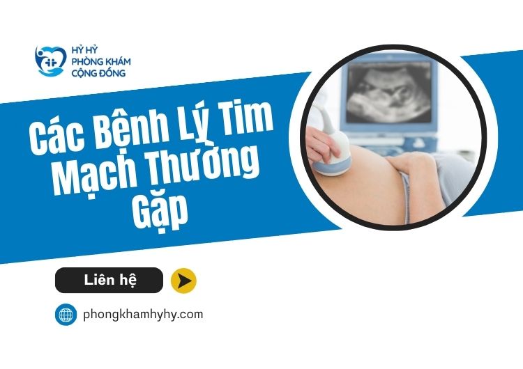 Gói khám tim mạch toàn diện tại Hỷ Hỷ