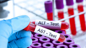 AST và ALT