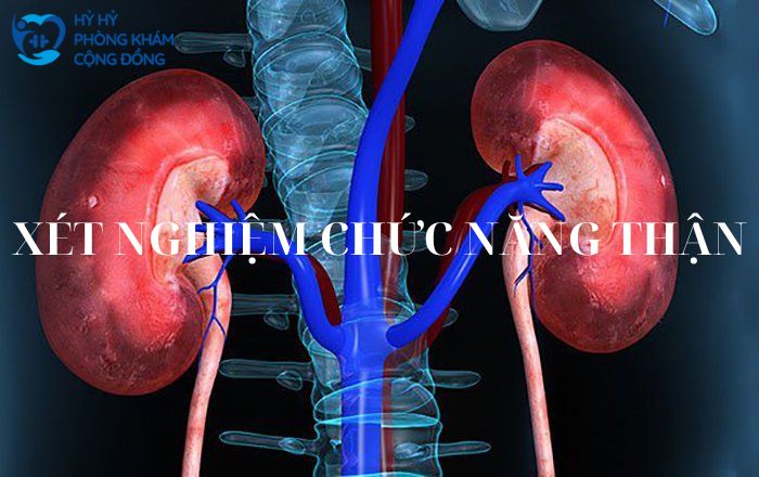 Xét nghiệm chức năng thận