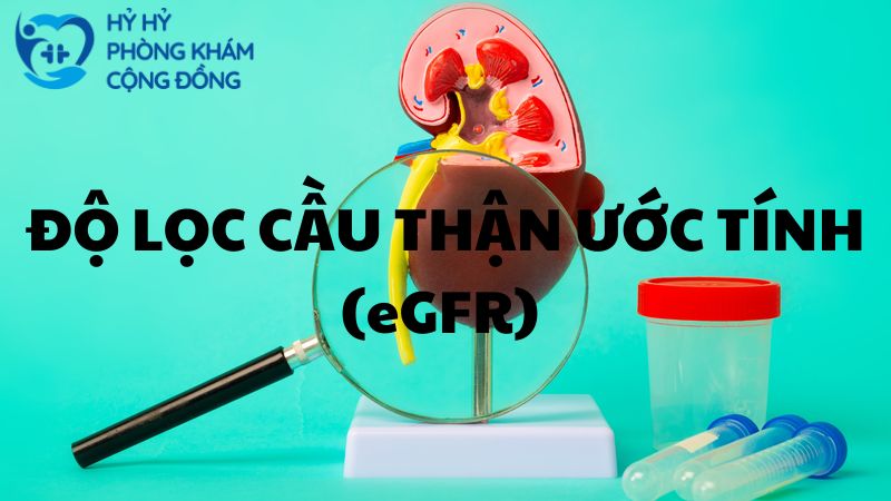 Độ lọc cầu thận ước tính